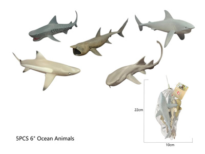 <img src='photo/Z/JZ124518.jpg'width='400' height='300'>