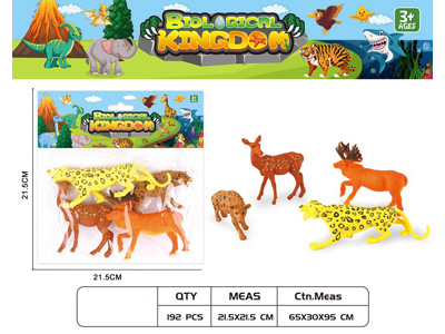 <img src='photo/Z/JZ124632.jpg'width='400' height='300'>