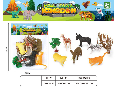 <img src='photo/Z/JZ124634.jpg'width='400' height='300'>