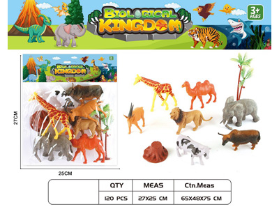 <img src='photo/Z/JZ124636.jpg'width='400' height='300'>