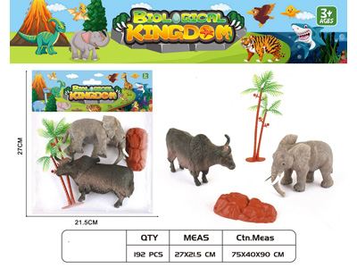 <img src='photo/Z/JZ124639.jpg'width='400' height='300'>