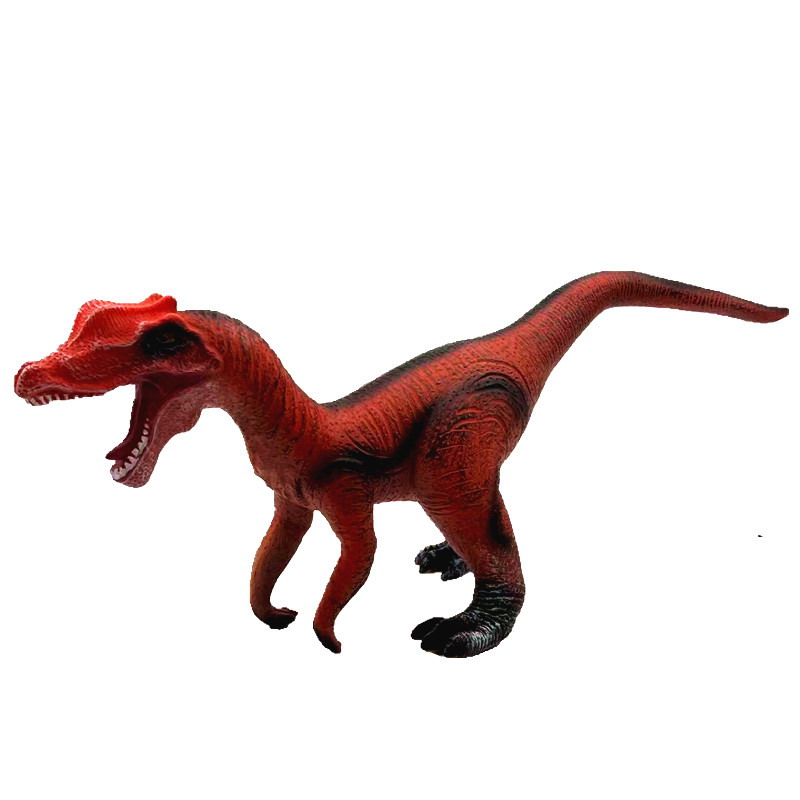 <img src='photo/Z/JZ126034.jpg'width='400' height='300'>