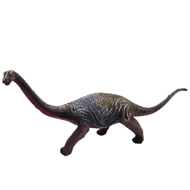 <img src='photo/Z/JZ126049.jpg'width='400' height='300'>