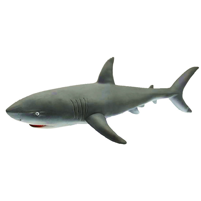 <img src='photo/Z/JZ126054.jpg'width='400' height='300'>