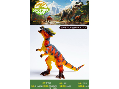 <img src='photo/Z/JZ126516.jpg'width='400' height='300'>