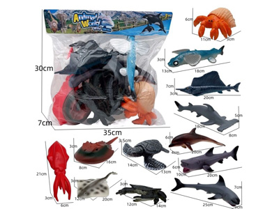 <img src='photo/Z/JZ126597.jpg'width='400' height='300'>