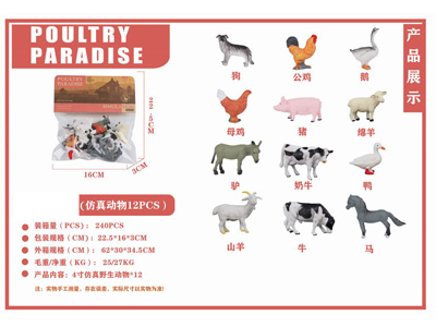 <img src='photo/Z/JZ126791.jpg'width='400' height='300'>