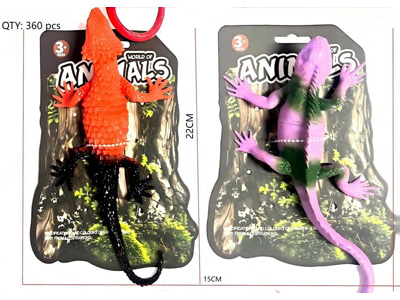 <img src='photo/Z/JZ127261.jpg'width='400' height='300'>