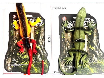 <img src='photo/Z/JZ127263.jpg'width='400' height='300'>