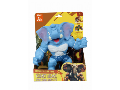 <img src='photo/Z/JZ127298.jpg'width='400' height='300'>