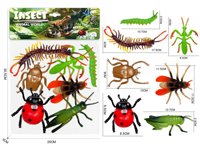 <img src='photo/Z/JZ127922.jpg'width='400' height='300'>