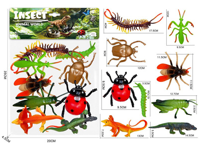 <img src='photo/Z/JZ127924.jpg'width='400' height='300'>