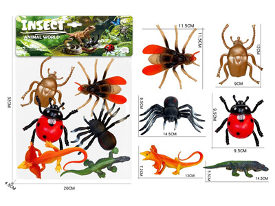 <img src='photo/Z/JZ127926.jpg'width='400' height='300'>