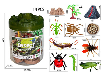 <img src='photo/Z/JZ127930.jpg'width='400' height='300'>