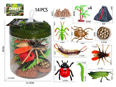 <img src='photo/Z/JZ127931.jpg'width='400' height='300'>