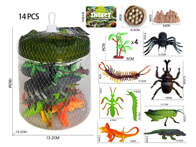 <img src='photo/Z/JZ127933.jpg'width='400' height='300'>