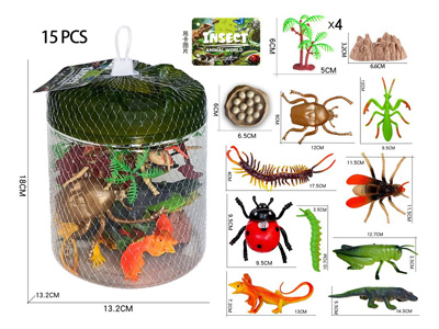 <img src='photo/Z/JZ127935.jpg'width='400' height='300'>