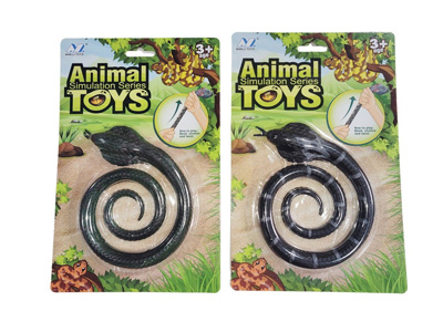 <img src='photo/Z/JZ128014.jpg'width='400' height='300'>