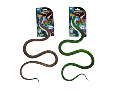 <img src='photo/Z/JZ128017.jpg'width='400' height='300'>