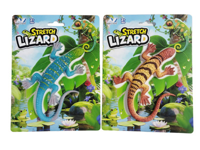 <img src='photo/Z/JZ128023.jpg'width='400' height='300'>