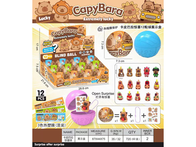 <img src='photo/Z/JZ128109.jpg'width='400' height='300'>