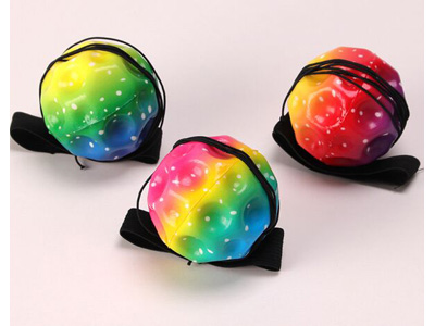 <img src='photo/Z/JZ128499.jpg'width='400' height='300'>