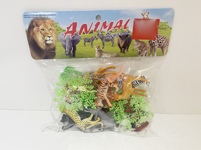 <img src='photo/Z/JZ128510.jpg'width='400' height='300'>