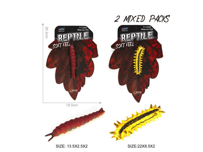 <img src='photo/Z/JZ128518.jpg'width='400' height='300'>