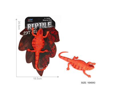 <img src='photo/Z/JZ128519.jpg'width='400' height='300'>