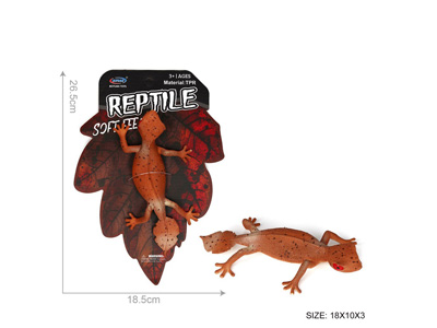 <img src='photo/Z/JZ128522.jpg'width='400' height='300'>