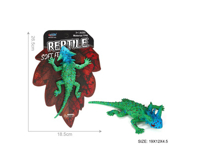 <img src='photo/Z/JZ128524.jpg'width='400' height='300'>