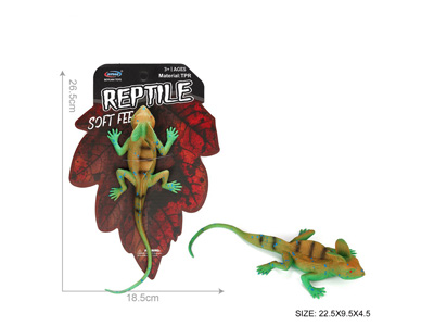 <img src='photo/Z/JZ128525.jpg'width='400' height='300'>