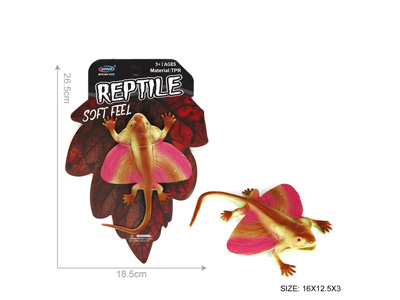 <img src='photo/Z/JZ128526.jpg'width='400' height='300'>