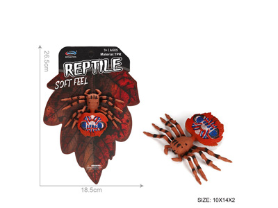 <img src='photo/Z/JZ128527.jpg'width='400' height='300'>