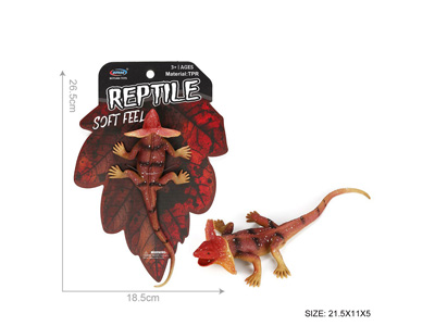 <img src='photo/Z/JZ128529.jpg'width='400' height='300'>