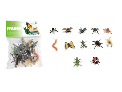 <img src='photo/Z/JZ128553.jpg'width='400' height='300'>