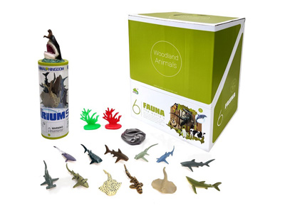 <img src='photo/Z/JZ128576.jpg'width='400' height='300'>