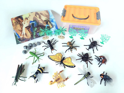 <img src='photo/Z/JZ128594.jpg'width='400' height='300'>