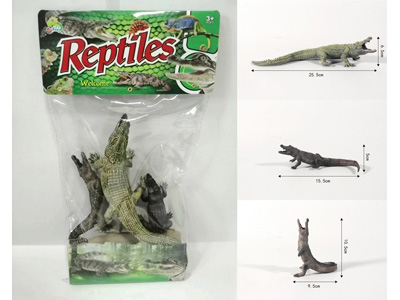 <img src='photo/Z/JZ128631.jpg'width='400' height='300'>