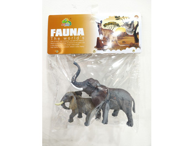 <img src='photo/Z/JZ128651.jpg'width='400' height='300'>