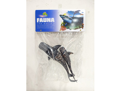 <img src='photo/Z/JZ128665.jpg'width='400' height='300'>